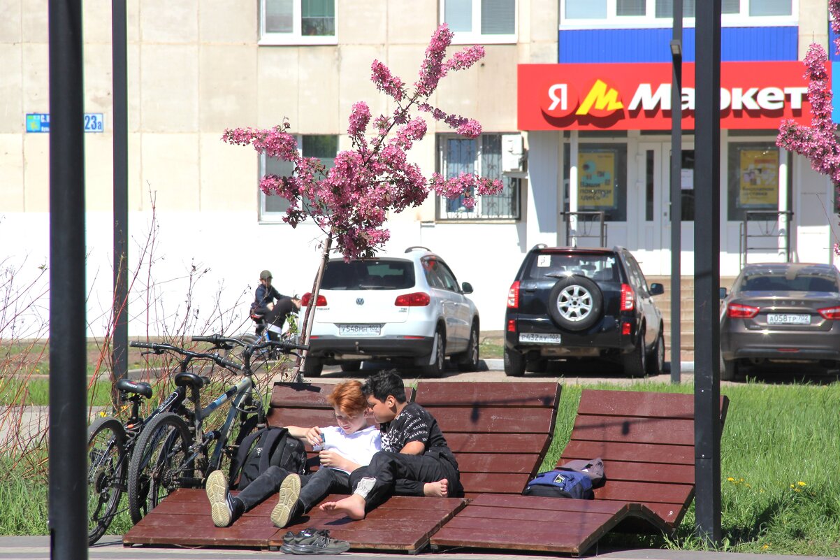Май. - Венера Чуйкова Май. - Венера Чуйкова