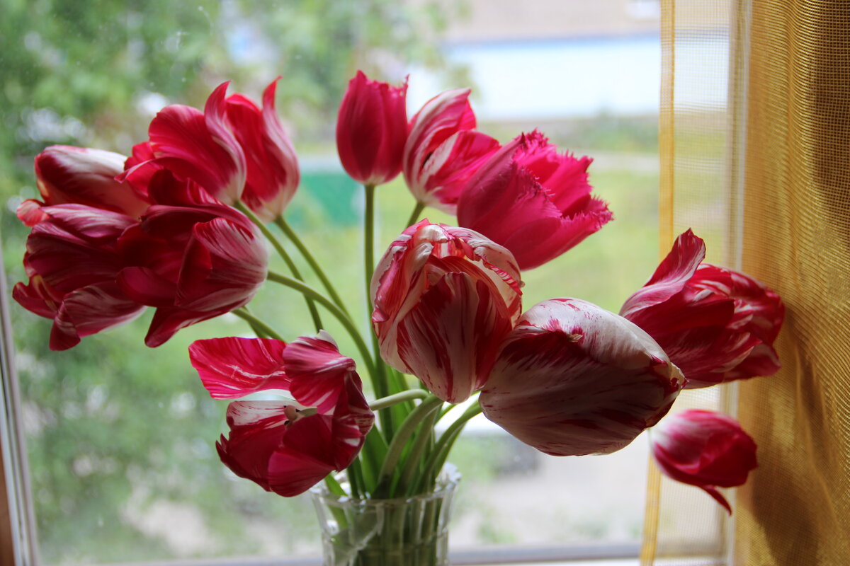 Цветущи й май. - Венера Чуйкова