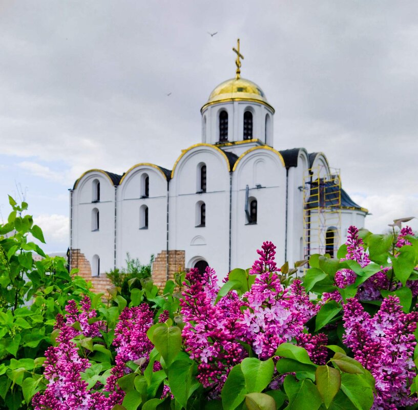 Городской пейзаж - Галина Бобкина