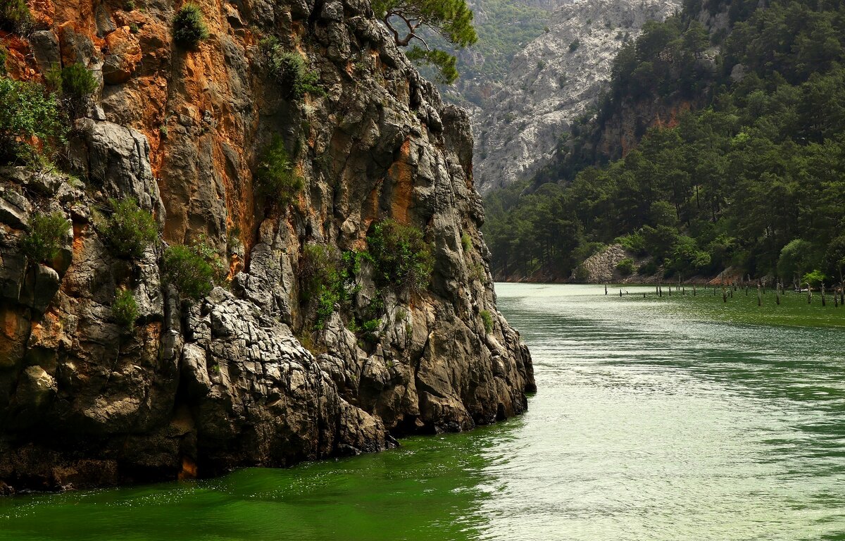 Зелёная,зелёная вода - Юрий. Шмаков Зелёная,зелёная вода - Юрий. Шмаков