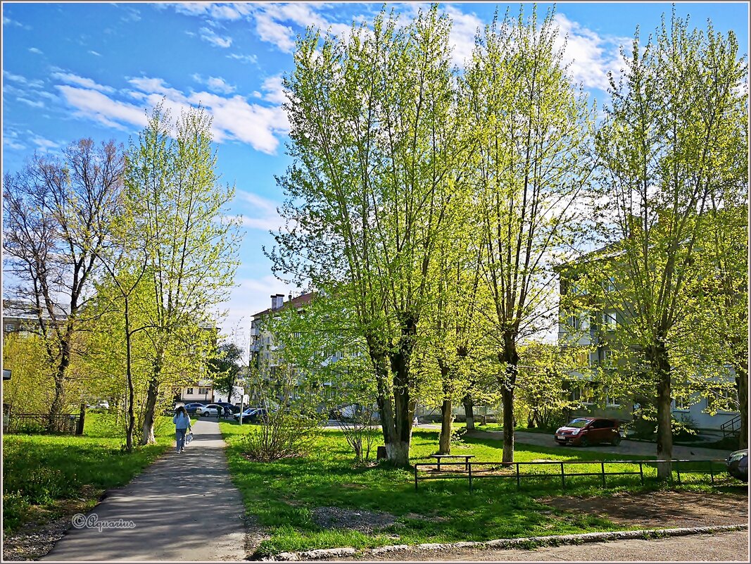 Май... - Aquarius - Сергей