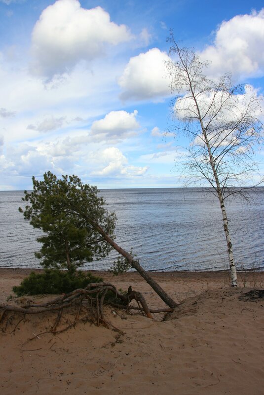 Ладожское Озеро - Наталья Герасимова