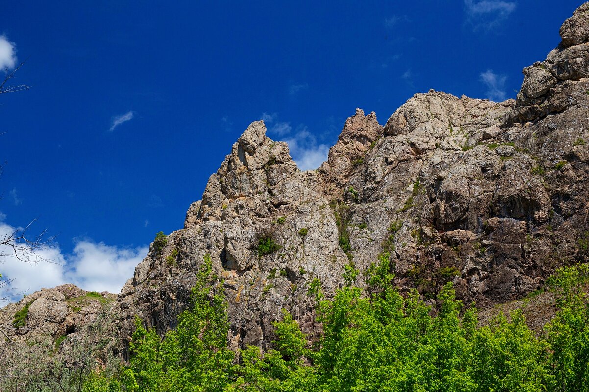 Зеленогорье. Судак - Светлана Тихонина