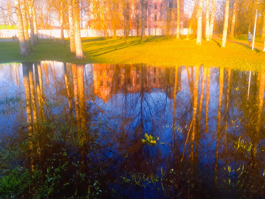 Отражение - Сергей Кочнев