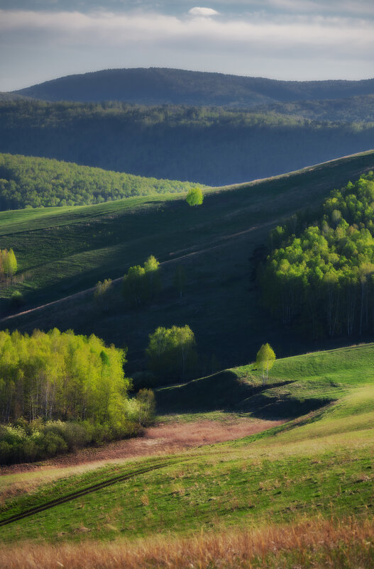 * - Александр Иванов