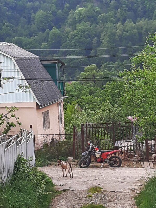 Поселок в горах - Tata Wolf