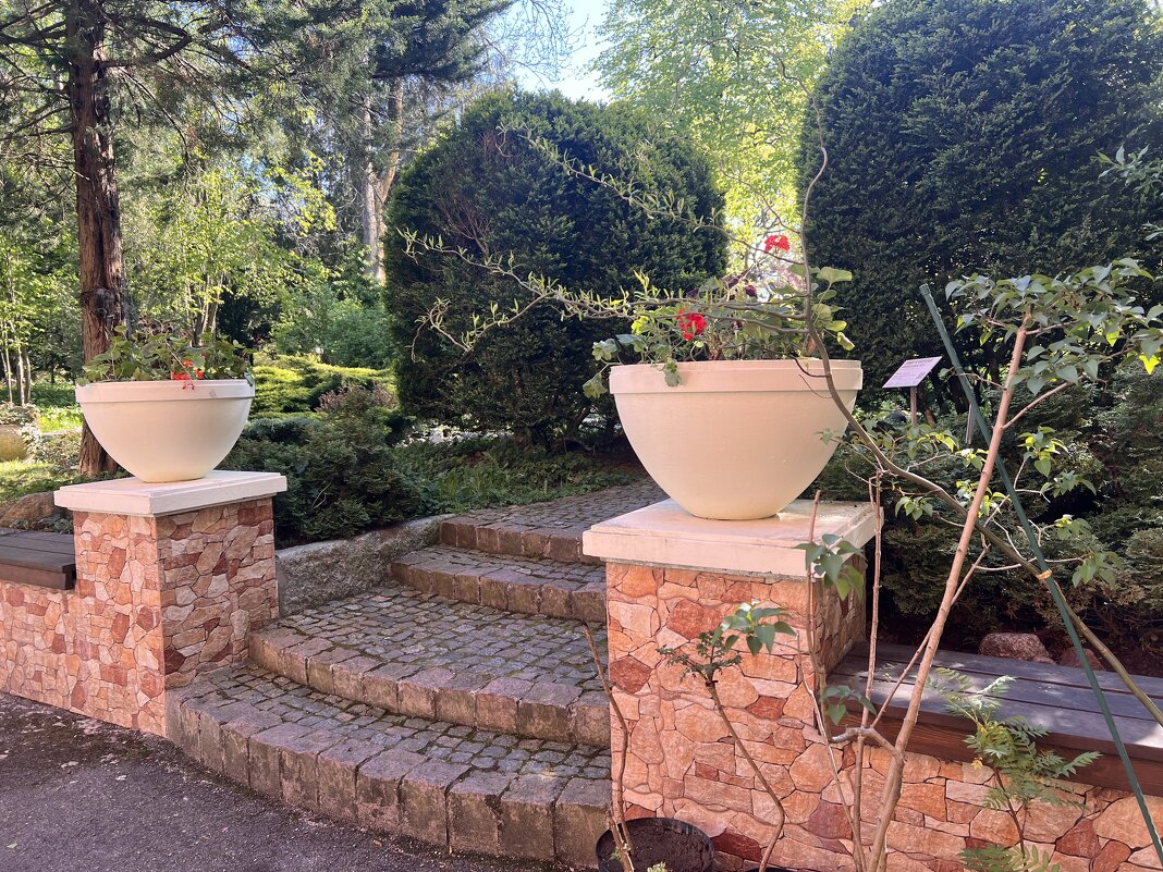 В Ландшафтном парке. - Валерия Комова