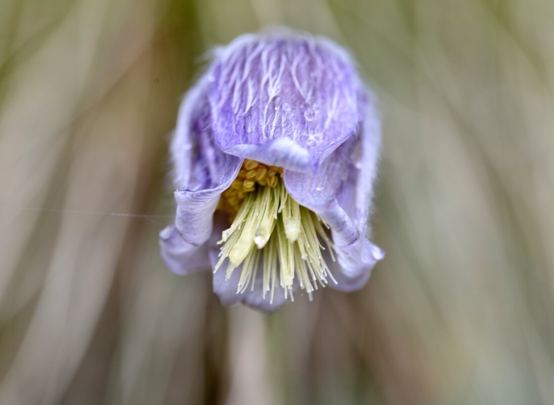 Пробуждение. - Юрий 