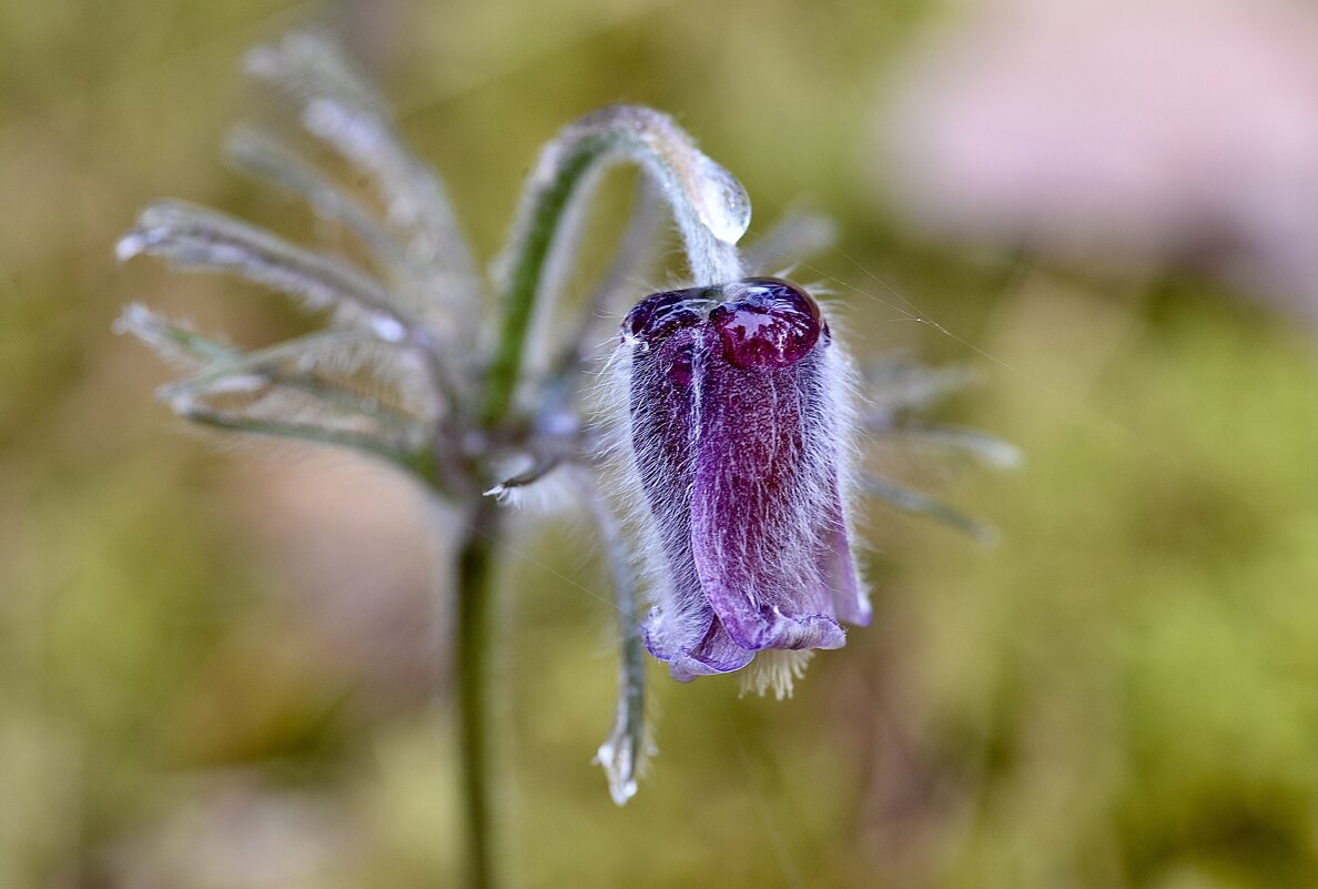 Пробуждение 2 - Юрий Пробуждение 2 - Юрий
