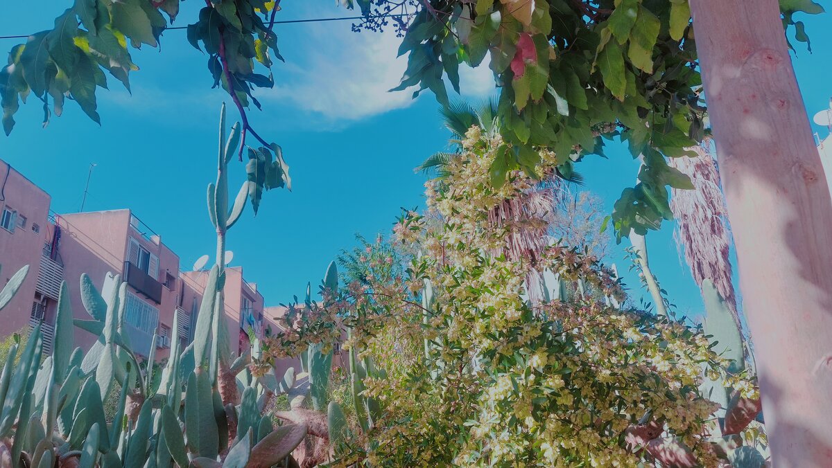 13  ОПЕН (8) - OPEN WAYS ALL