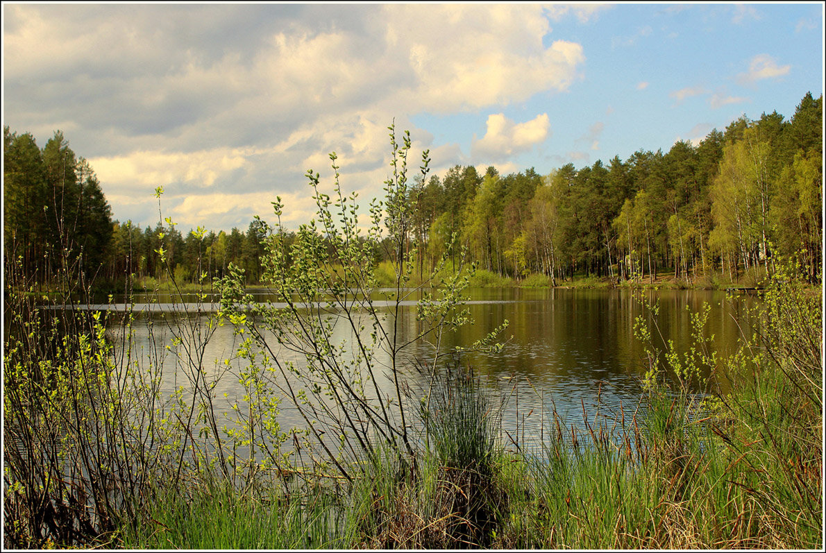 Весна - Aleksandr Gal