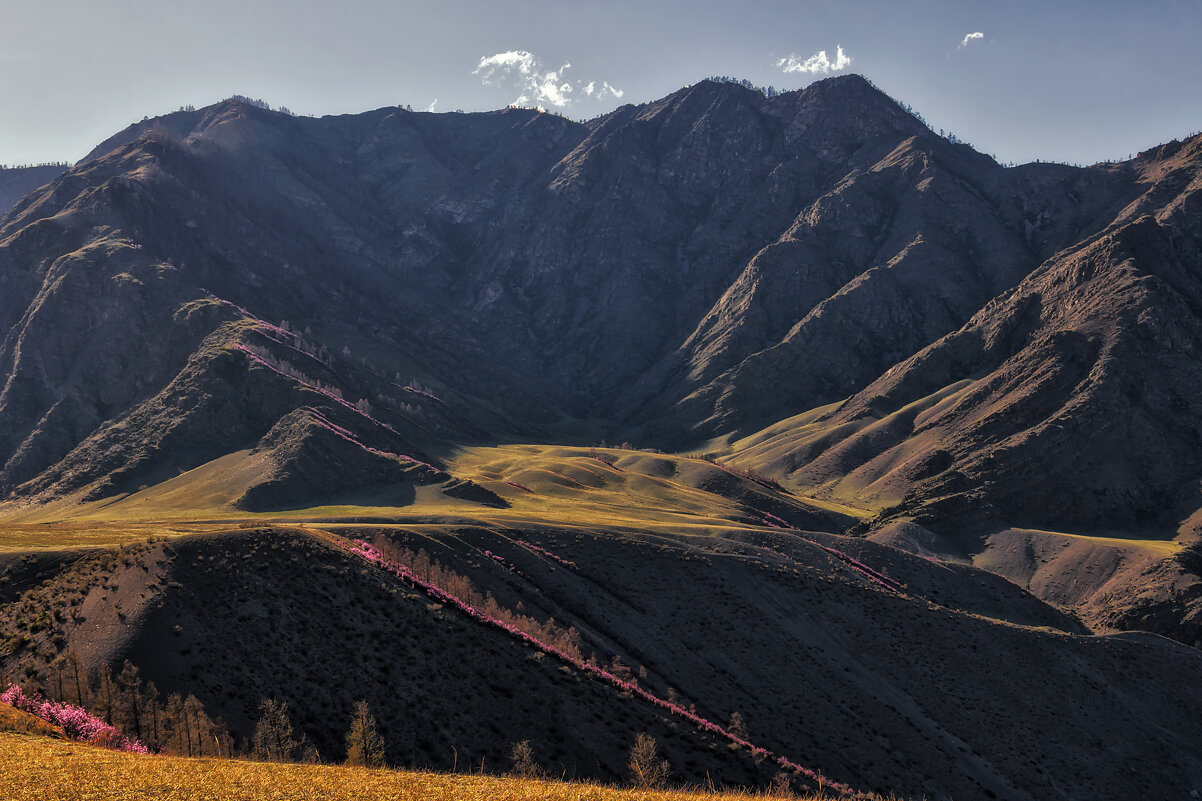 Свет уходящего дня. - Марина Юдинских