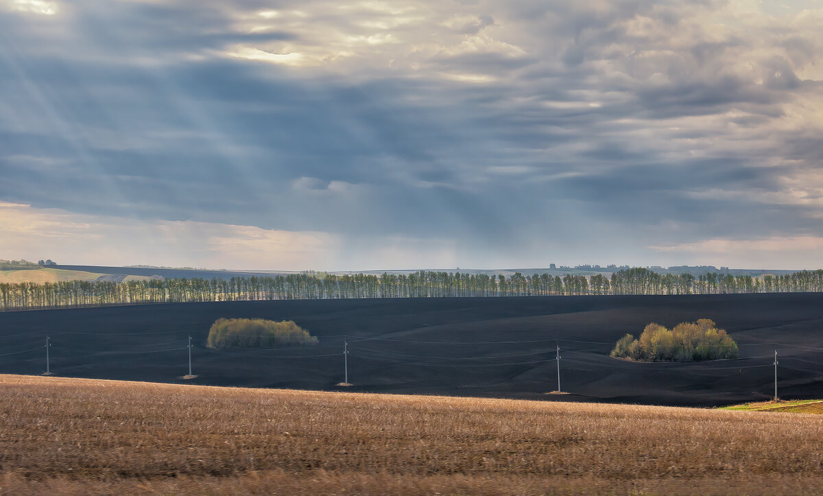Весна - Марина Юдинских