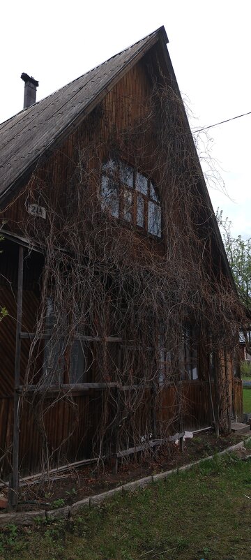 Вуаль дома - Алексей Ильичёв