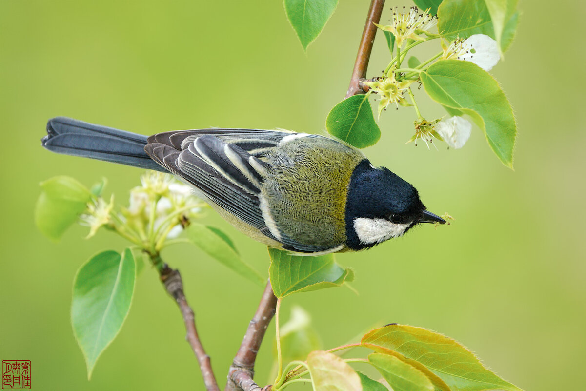 * * * - Станислав С.