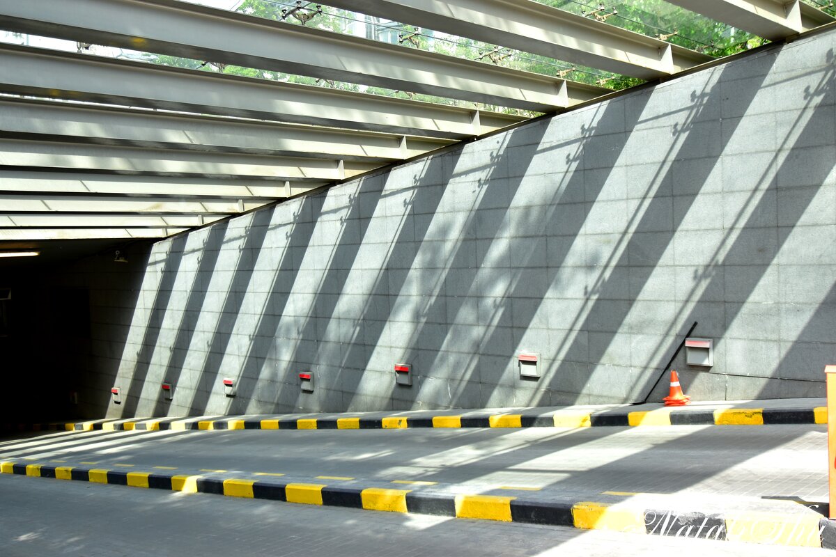 Тени. - Наталья Вязигина