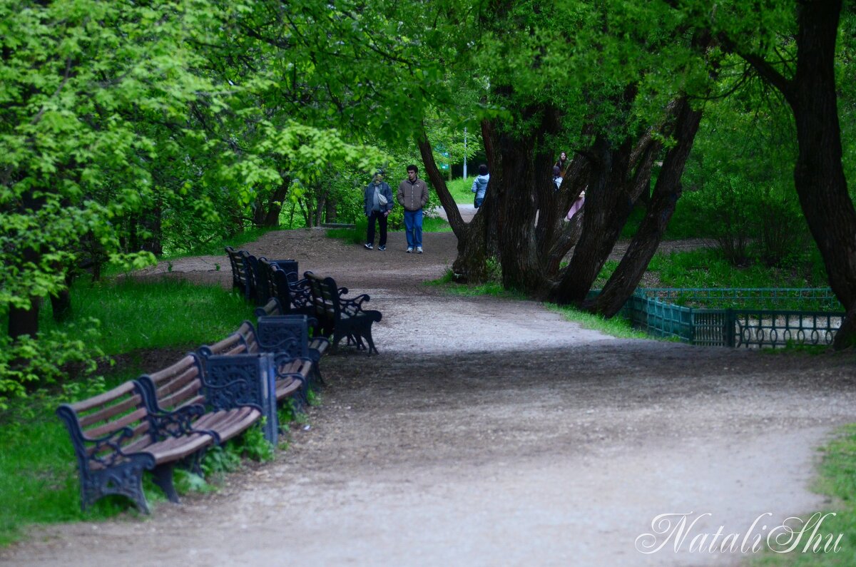 Покой и тишина в парке. - Наталья Вязигина