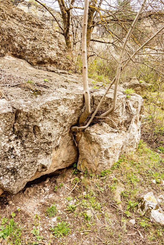 Сила жизни - Дмитрий Лупандин Сила жизни - Дмитрий Лупандин