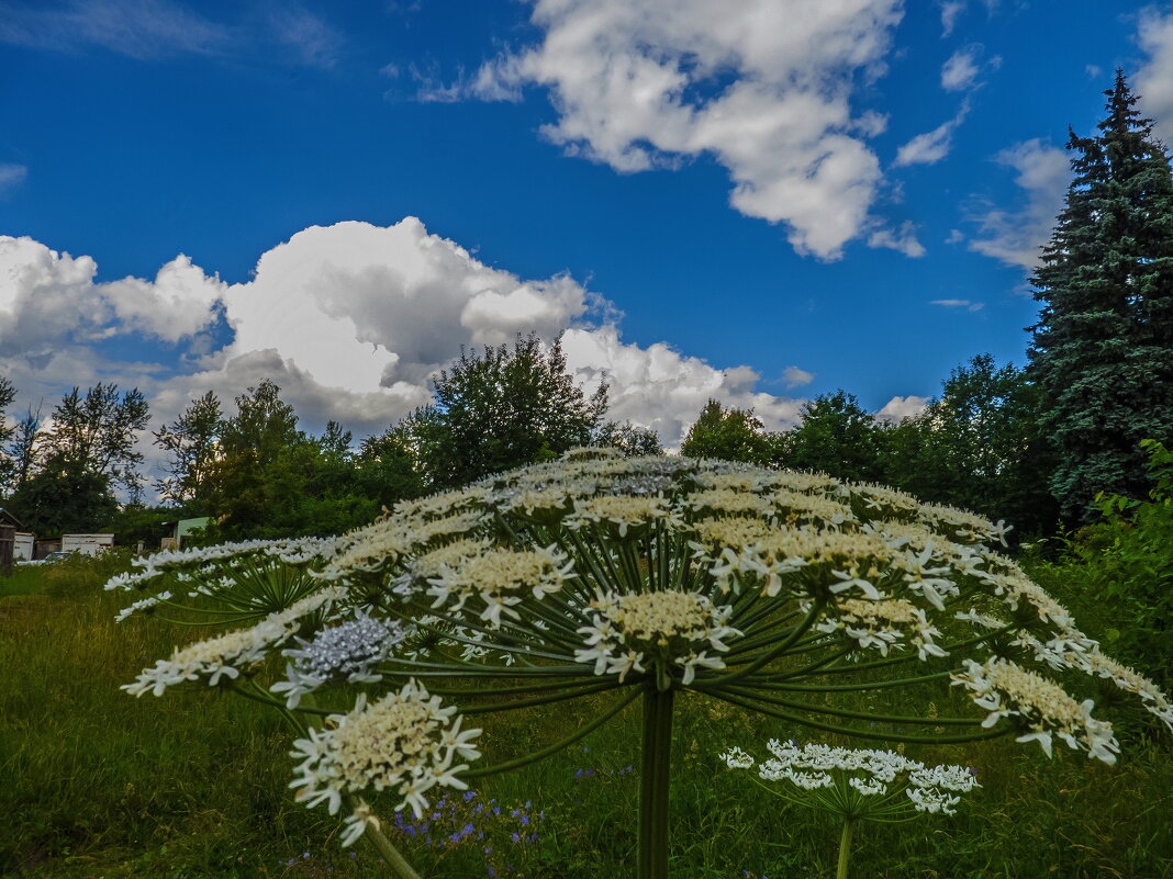 К вопросу об округлости Земли - Наталья Rosenwasser К вопросу об округлости Земли - Наталья Rosenwasser