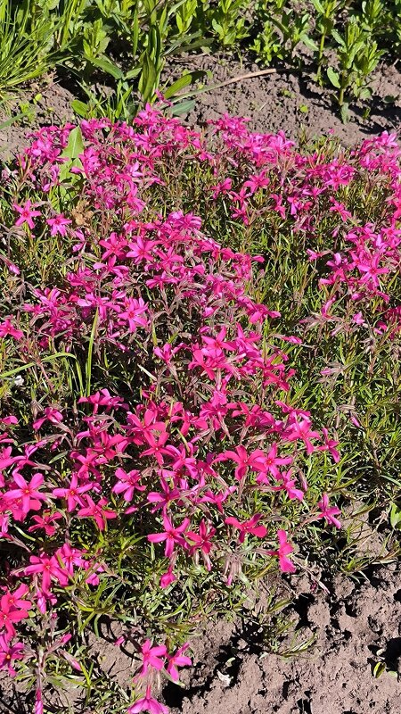 /// - Ольга /// - Ольга