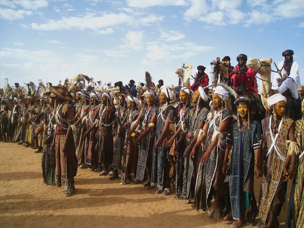 На африканском фестивале Геревол, Нигер. - unix (Илья Утропов) На африканском фестивале Геревол, Нигер. - unix (Илья Утропов)