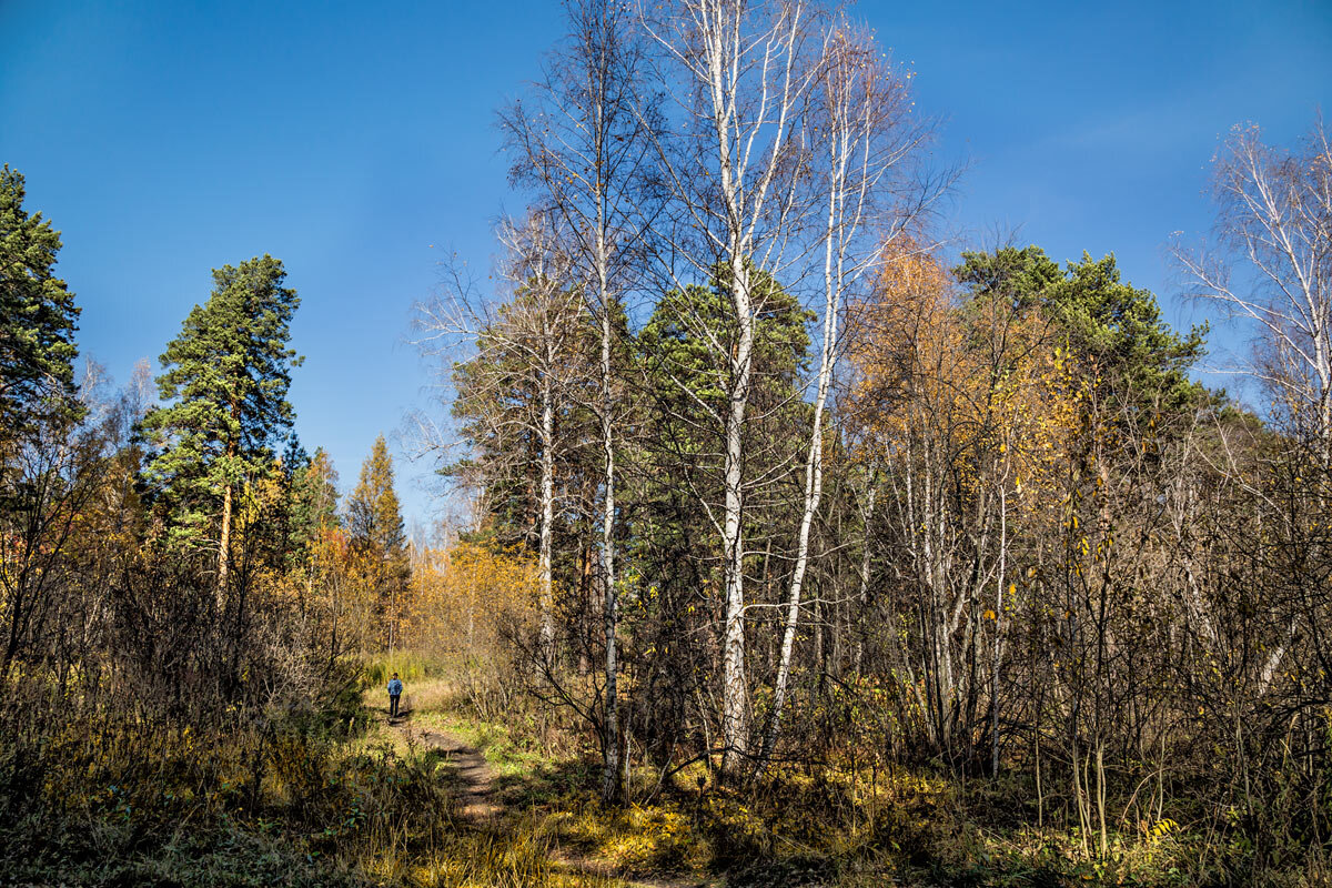 Пейзаж - SanSan 