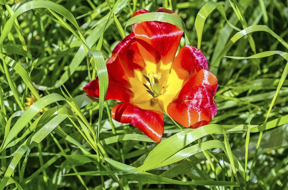 Красавчик - Валерий Иванович Красавчик - Валерий Иванович