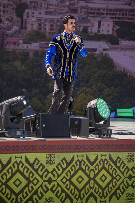 Я Вам спою - Анатолий Чикчирный Я Вам спою - Анатолий Чикчирный