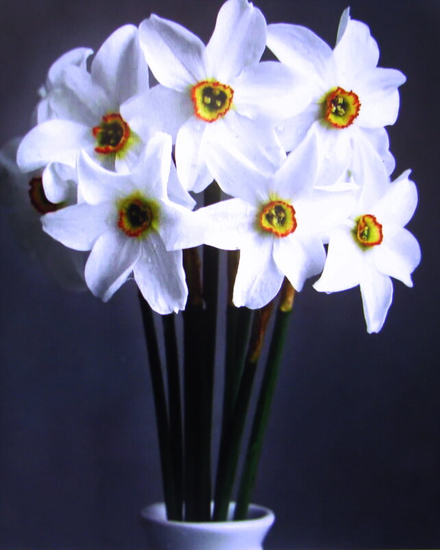 Нежный букетик - Людмила Смородинская Нежный букетик - Людмила Смородинская