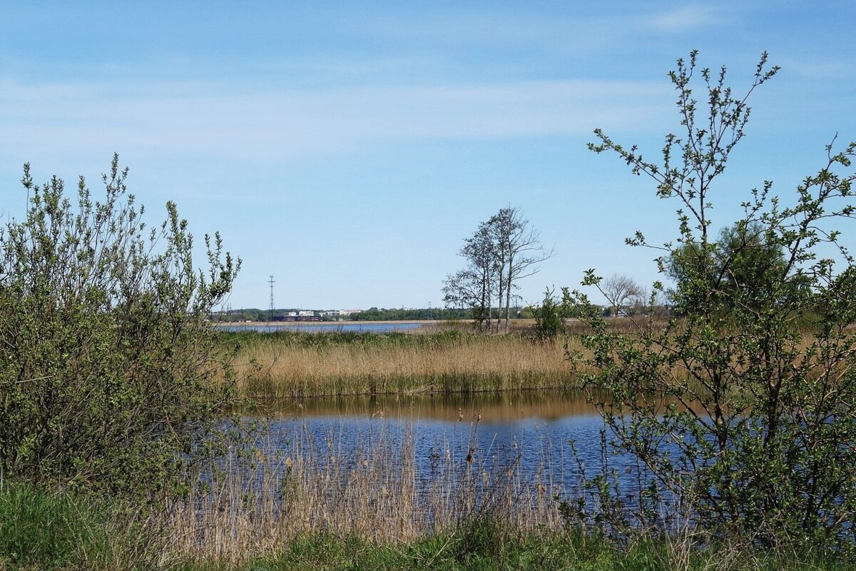 Весенний пейзаж - Рита Симонова