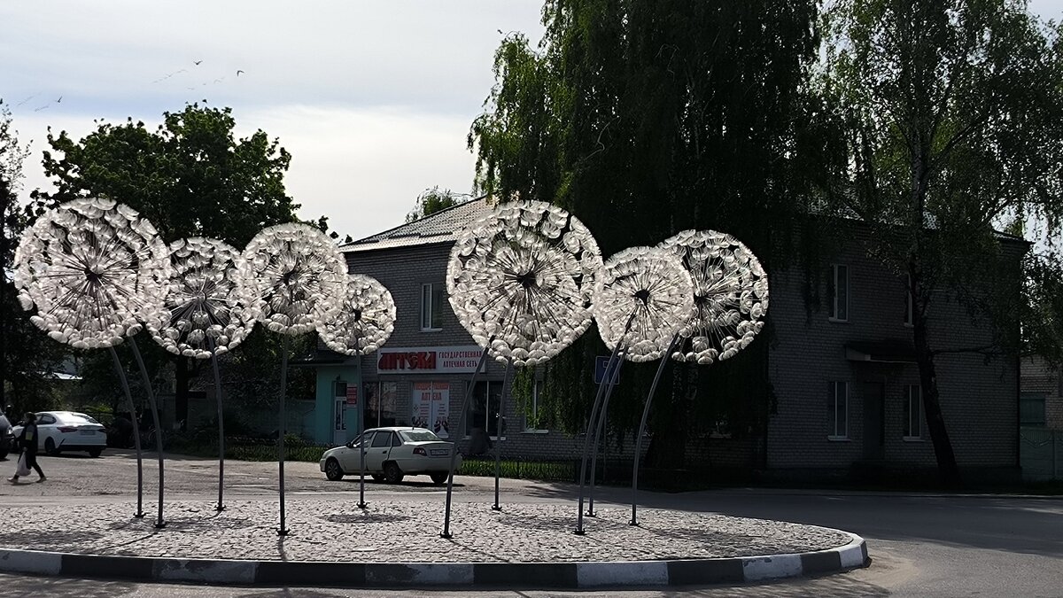 Стародуб. Одуванчики. - Ольга Стародуб. Одуванчики. - Ольга