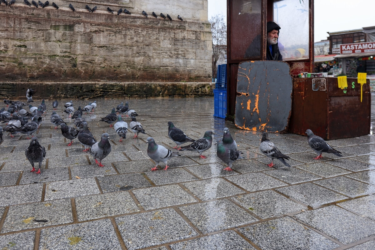 Стамбул - skijumper Иванов