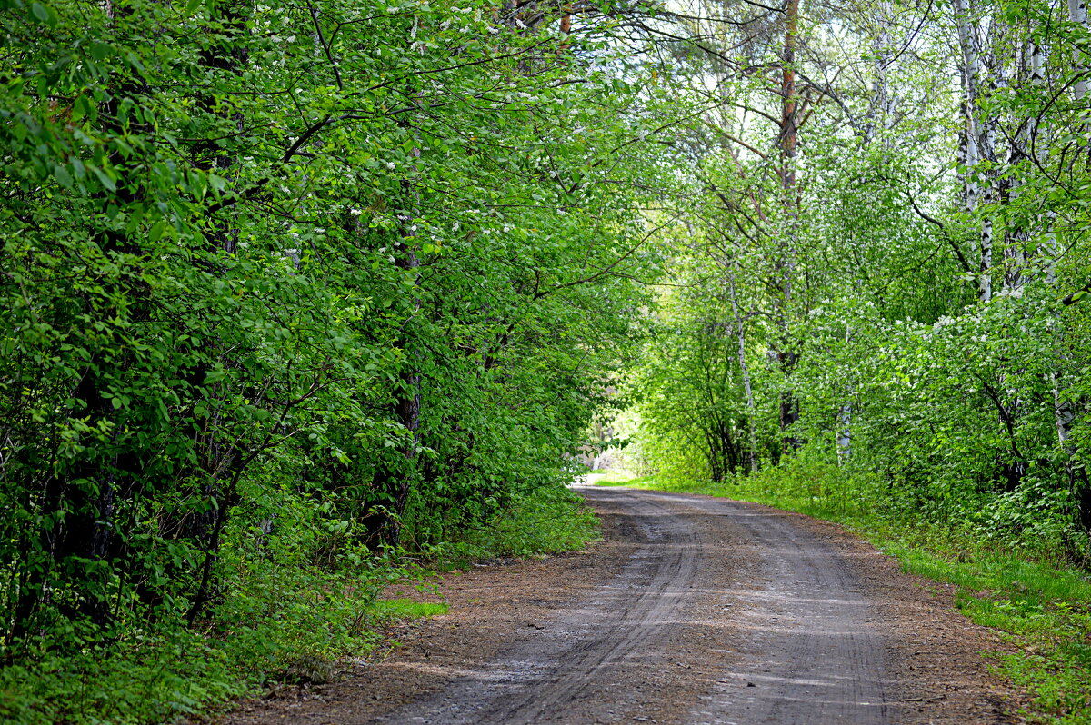 А за поворотом ЛЕТО - Татьяна Лютаева А за поворотом ЛЕТО - Татьяна Лютаева