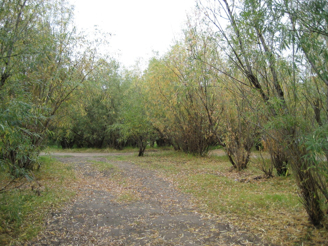 Осень не за горами - Anna Ivanova