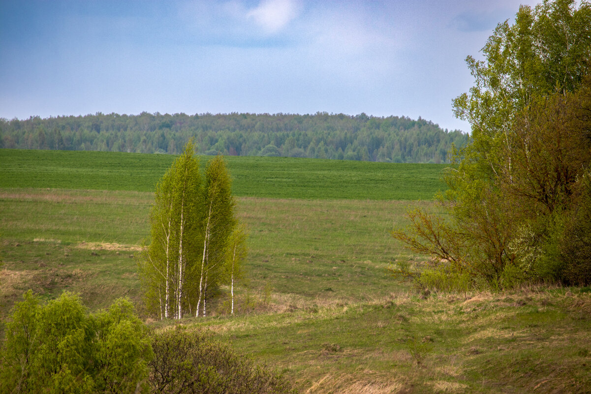 Весенний пейзаж - Sergei Vikulov Весенний пейзаж - Sergei Vikulov
