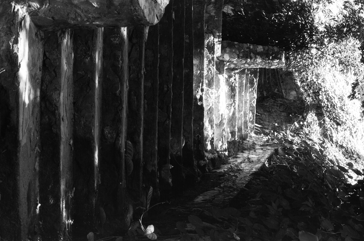 Лесница вверх (Зенит 122 + Тасма Аэро 100) - Михаил Соколов