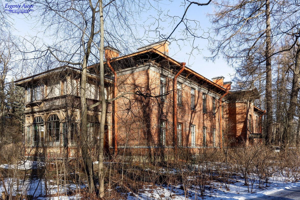 Жизнь на природе - Евгений 