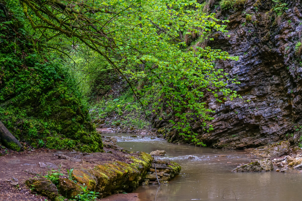 Ручей в горах. Адыгея - Игорь Сикорский