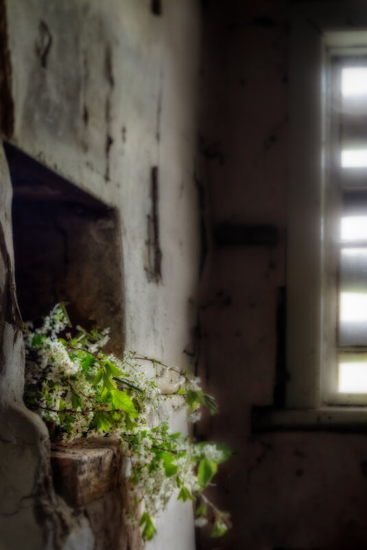 Жизнь и ... - sorovey Sol