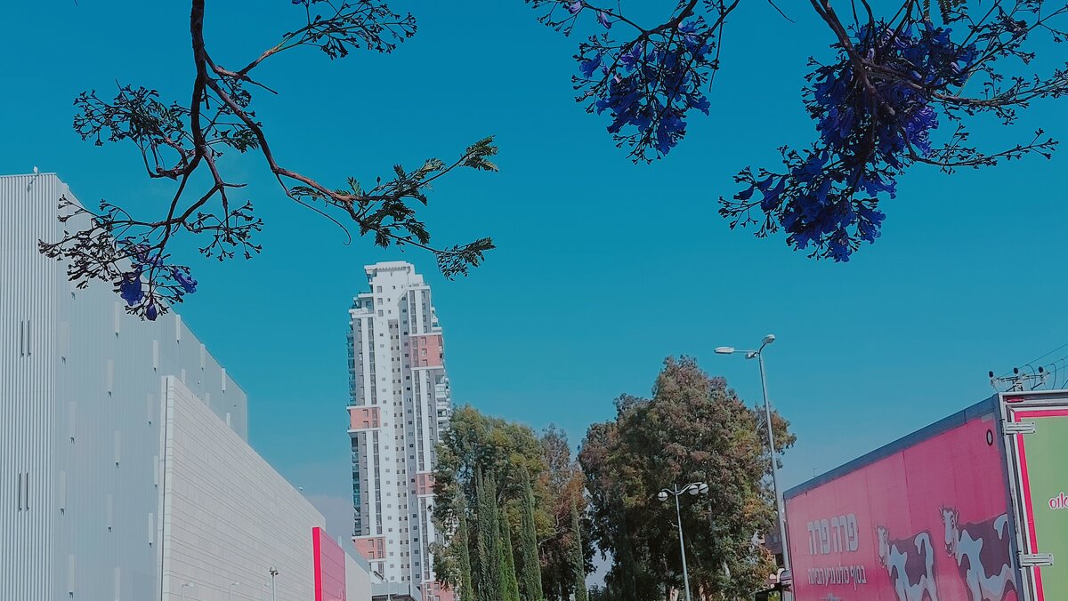 13  ОПЕН (15) - OPEN WAYS ALL