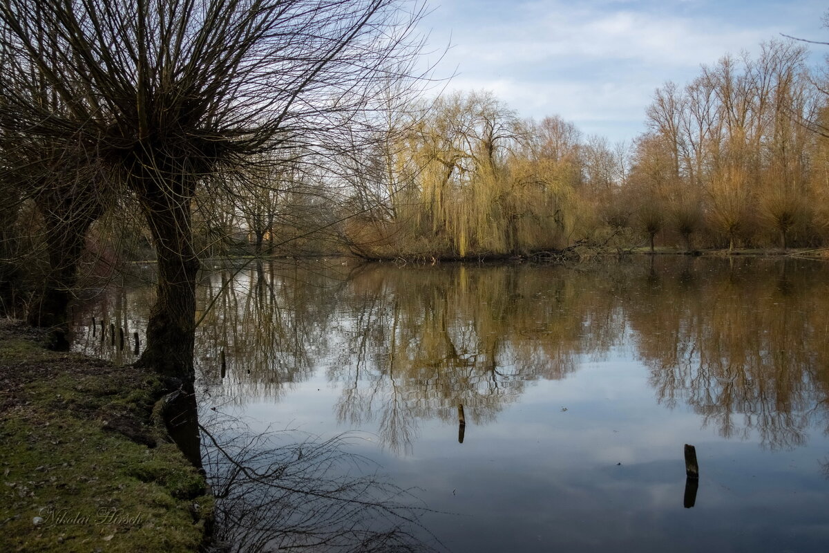 *** - Николай Гирш