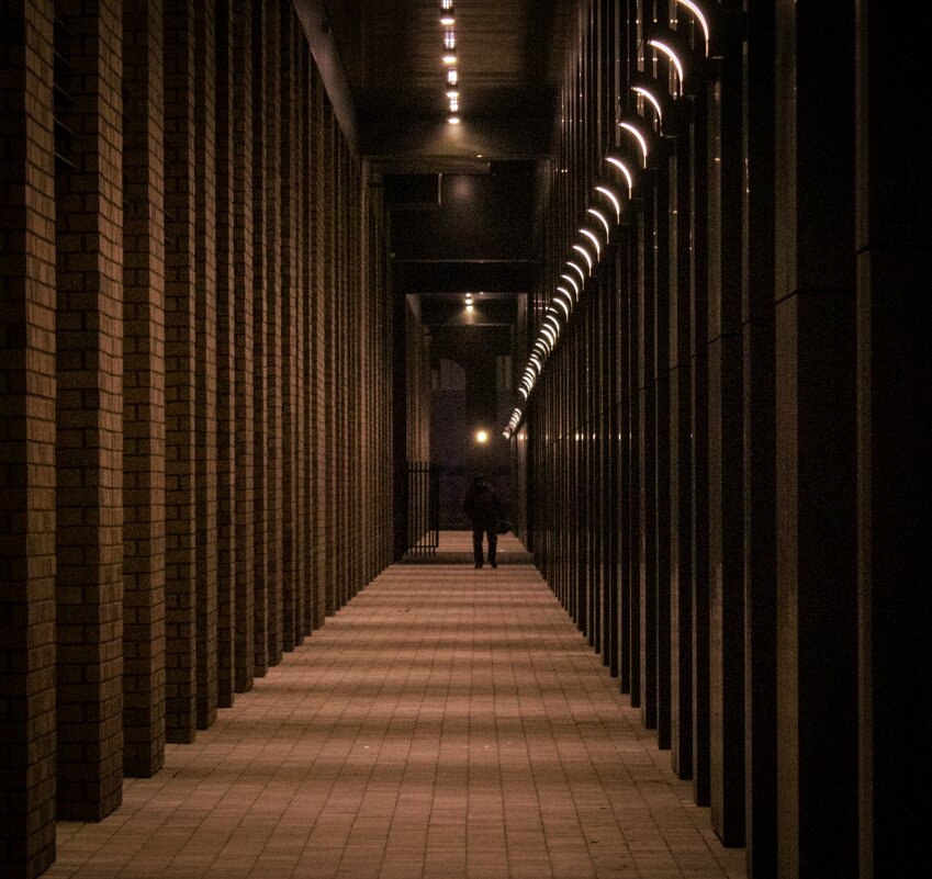 Бесконечный коридор - Ярослав Теплов