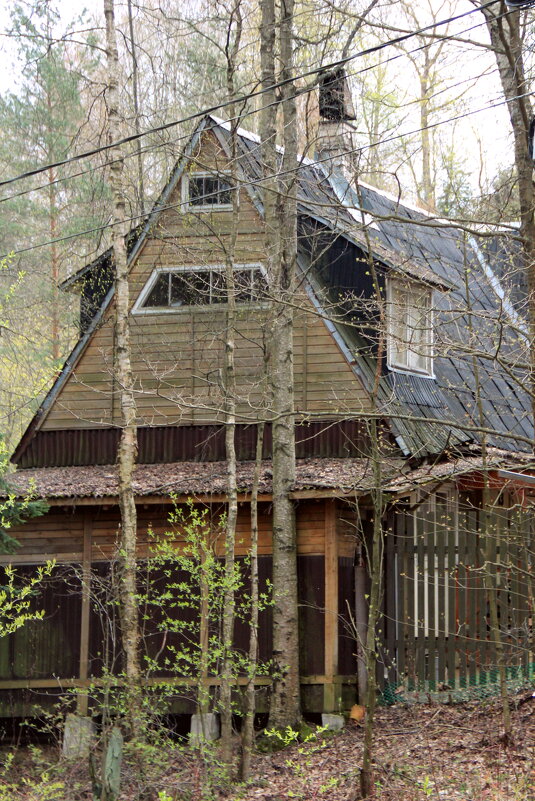 Домик - Елена Минина