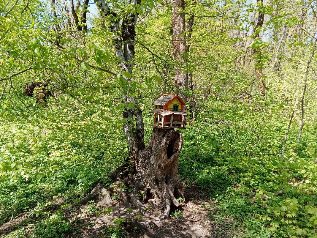 Прогулки вокруг железной горы (терренкур) - Виктор Прогулки вокруг железной горы (терренкур) - Виктор