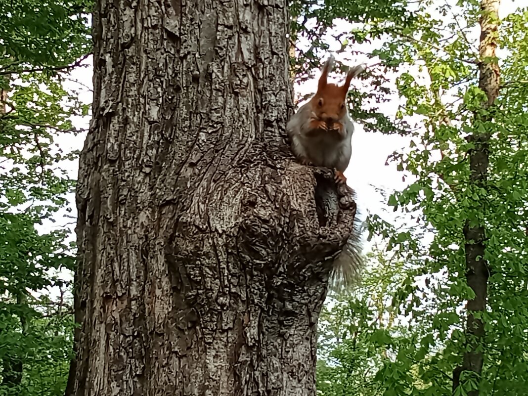 А ей и здесь хорошо! - Виктор 