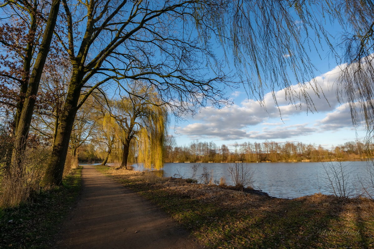 *** - Николай Гирш *** - Николай Гирш