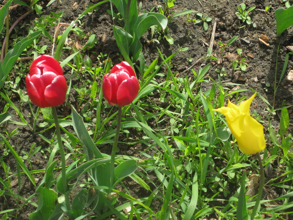 Два плюс один - Дмитрий Никитин