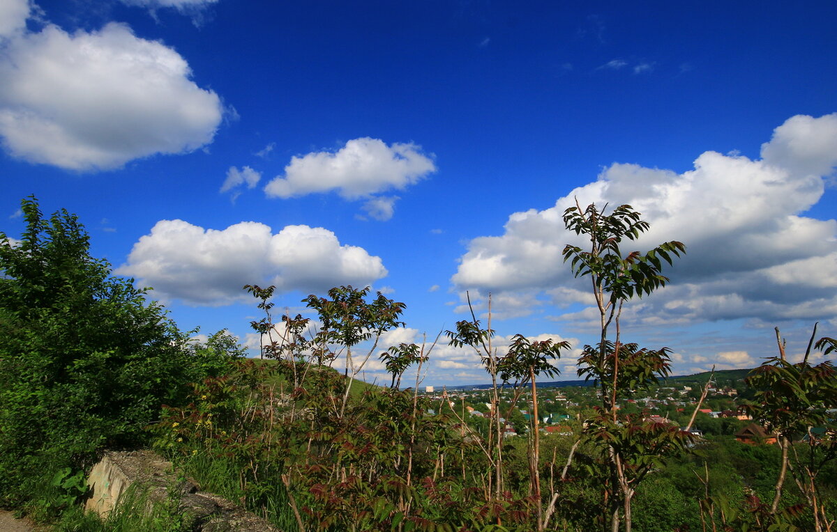 *** - Игорь Kуленко