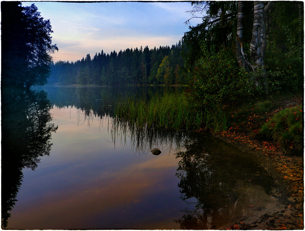 Ильичёво. Озеро Долгое_Panasonic Lumix DMC-G5_14-140mm - Станислав Лебединский Ильичёво. Озеро Долгое_Panasonic Lumix DMC-G5_14-140mm - Станислав Лебединский