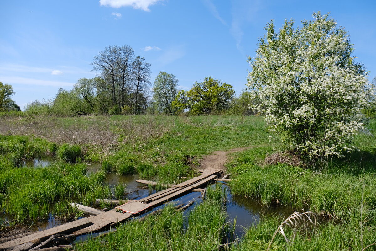 Мостки - Андрей Зайцев Мостки - Андрей Зайцев